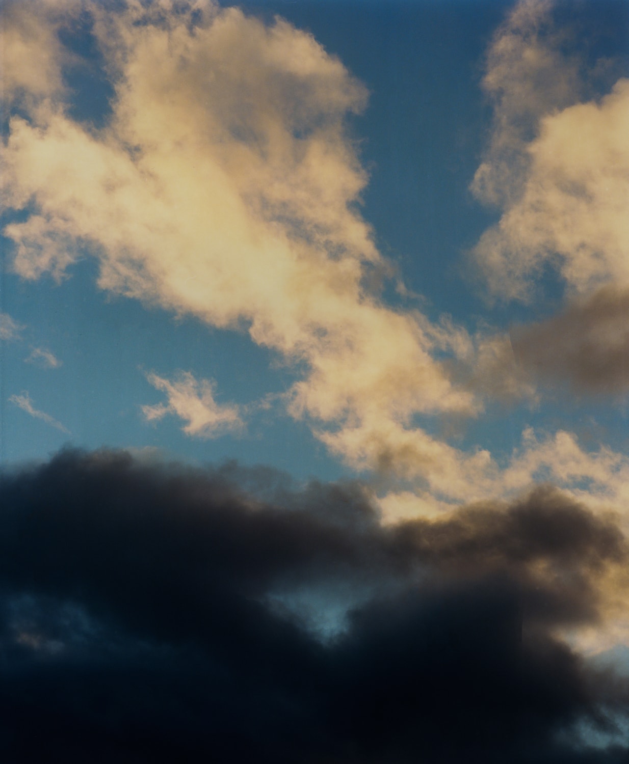 Tom Johnson, Pleasure Garden, Mini Title 2025