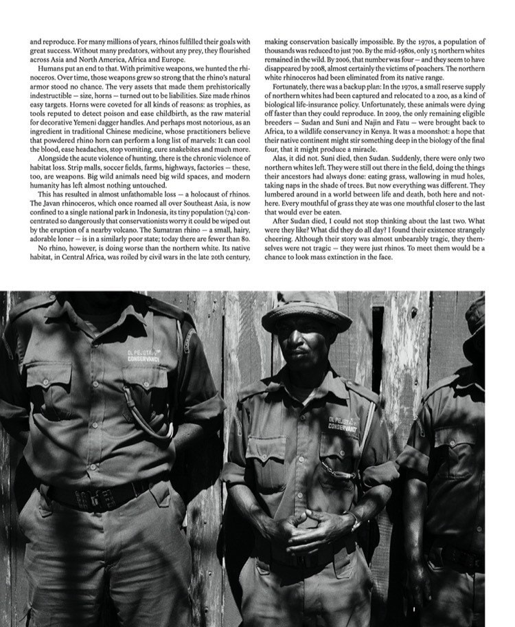 Jack Davison, The New York Times Magazine, Mini Title 2025