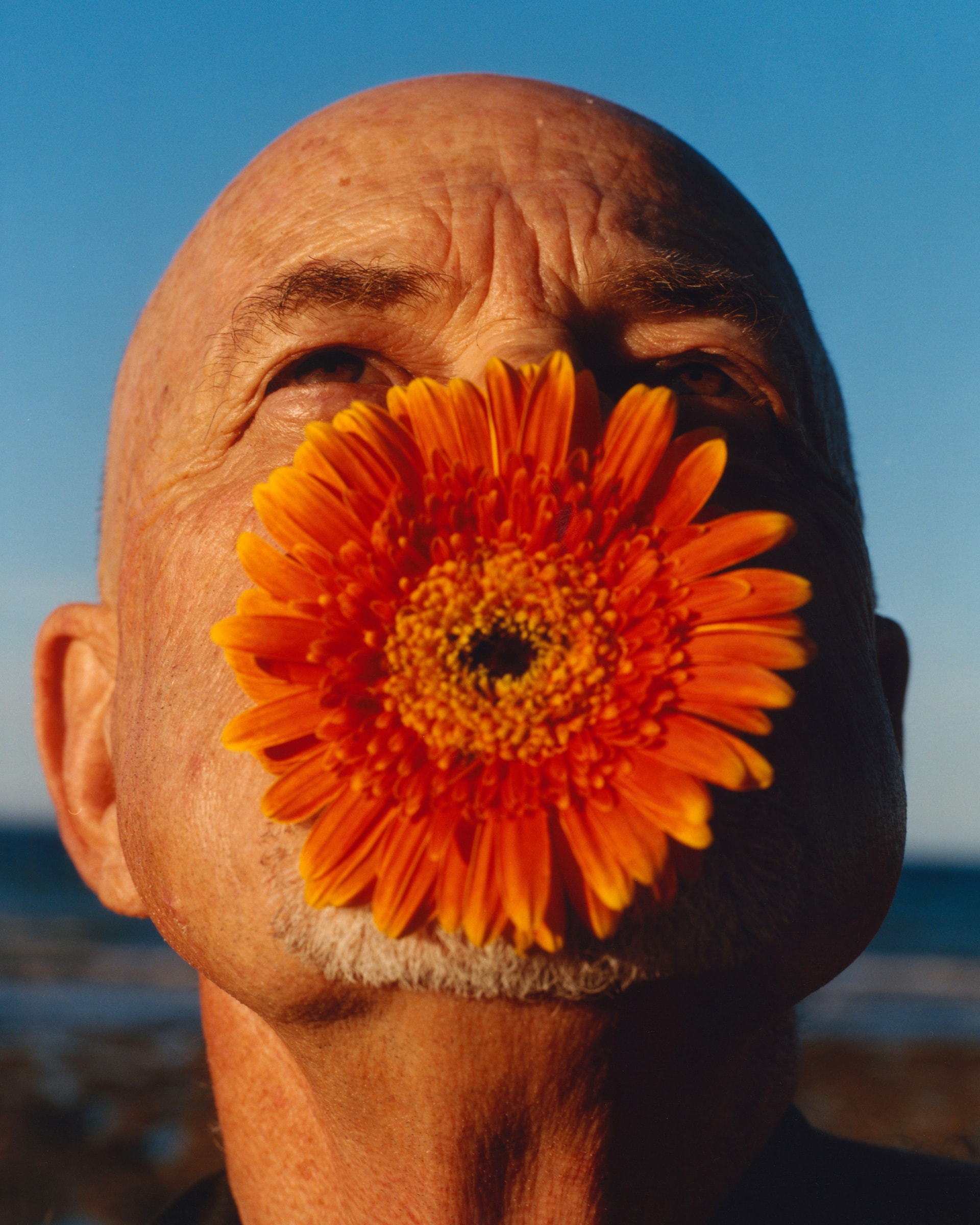 Tom Johnson, The Plant Magazine, Mini Title 2025